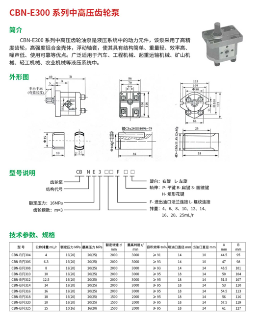 CBN-E300系列中高压齿轮泵